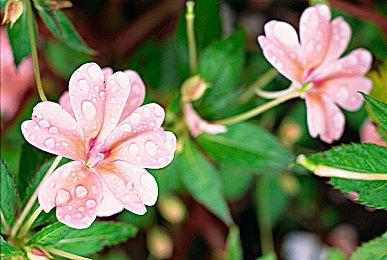 观察性惊悚游戏《Conway》11月2日发售 自带中文